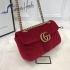 Gucci Bag 001